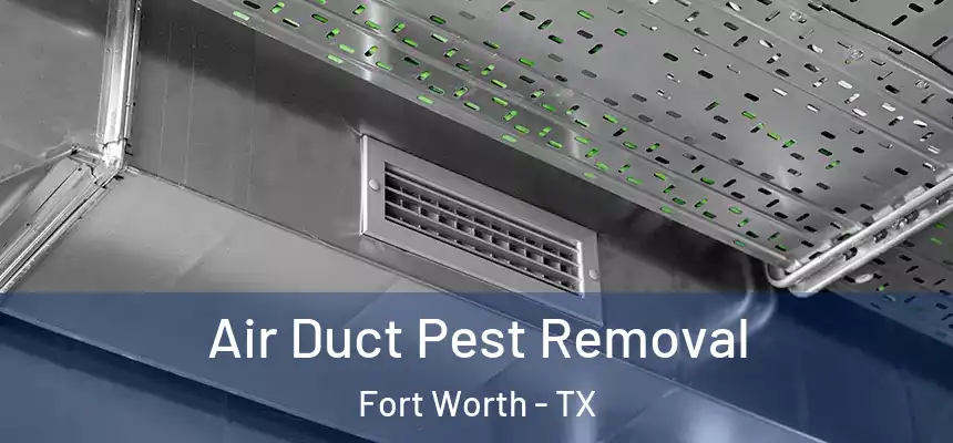 Air Duct Pest Removal Fort Worth - TX