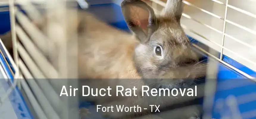 Air Duct Rat Removal Fort Worth - TX