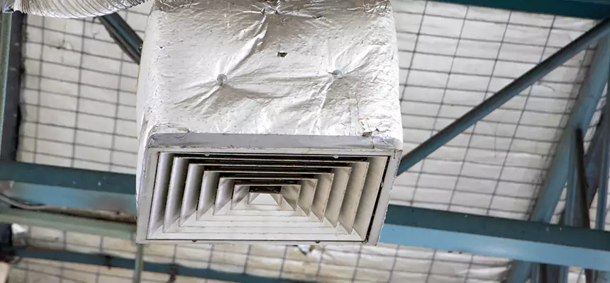 Our HVAC Mold Remediation Service Services in Fort Worth, TX
