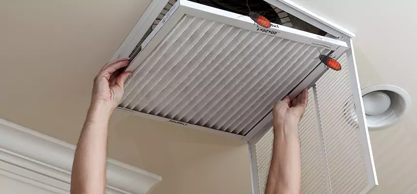 Our Insect Removal from Air Ducts Services in Fort Worth, TX