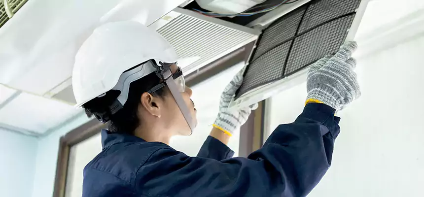 Our Mold & Mildew Removal from Air Ducts Services in Fort Worth, TX