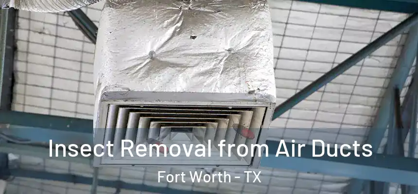 Insect Removal from Air Ducts Fort Worth - TX