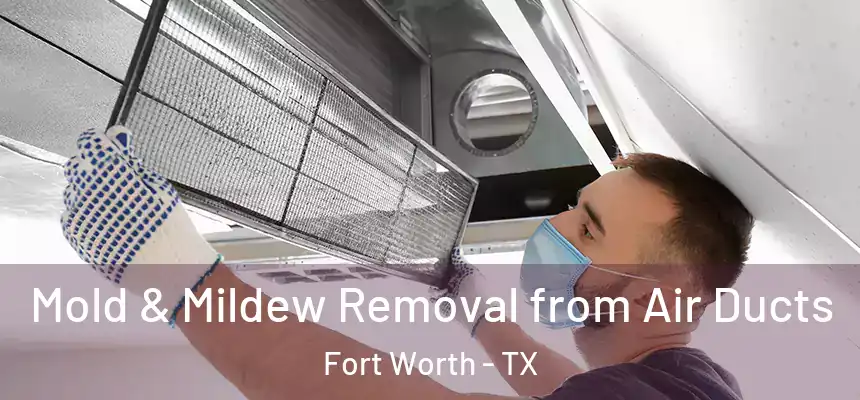 Mold & Mildew Removal from Air Ducts Fort Worth - TX