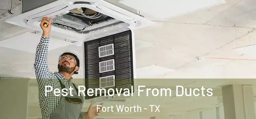 Pest Removal From Ducts Fort Worth - TX