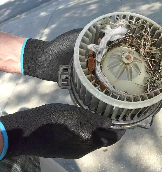 About Air Duct Mice Removal in Fort Worth, TX