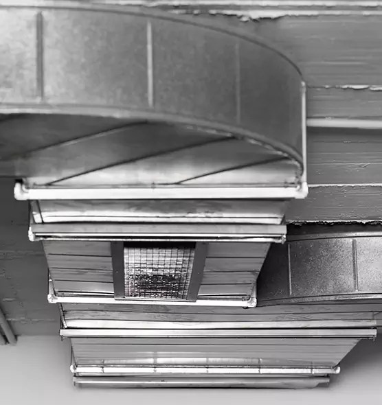 Professional Air Duct Pest Removal in Fort Worth, TX