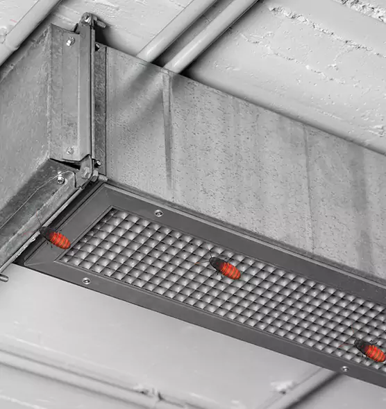 Affordable Insect Removal from Air Ducts in Fort Worth, TX